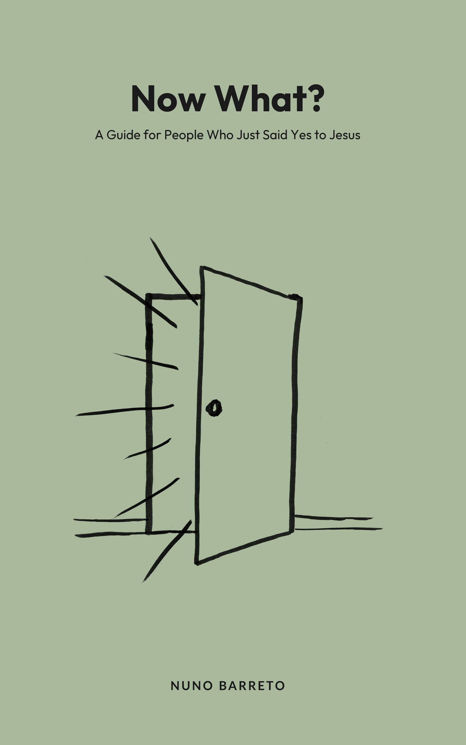 Now What? book cover